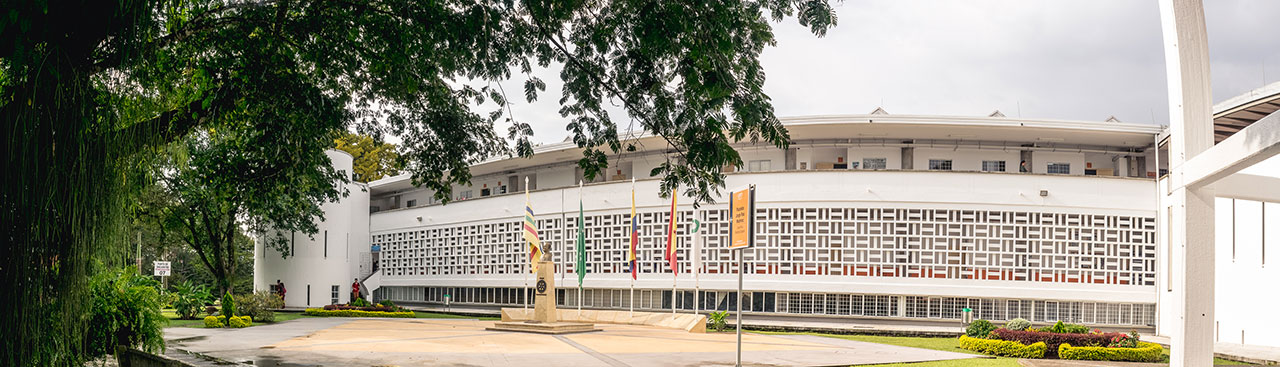 Contenido genérico de la noticia